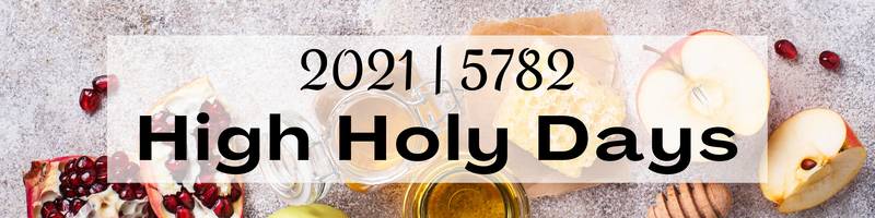 Banner Image for High Holy Days Zoom Registration