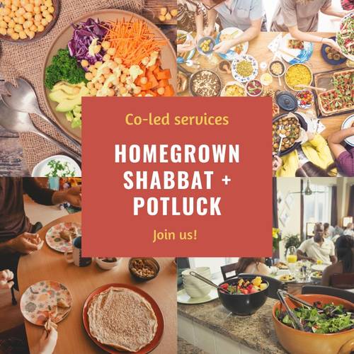 Banner Image for Homegrown Shabbat livestreamed with Rabbi David