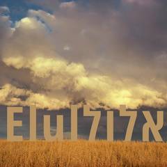 Banner Image for Elul Zman: A month of reflection and resilience (Virtual Musical Shabbat service)