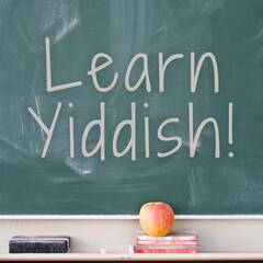 Banner Image for Yiddish Beginner Boot Camp with JCOGS member Howard Brown ONLINE ONLY