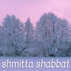 Banner Image for Shmitta Musical Shabbat with interfaith friends - ONLINE ONLY