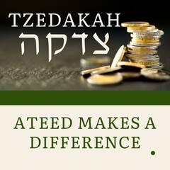 Banner Image for Teen Tzedakah Team - ONLINE